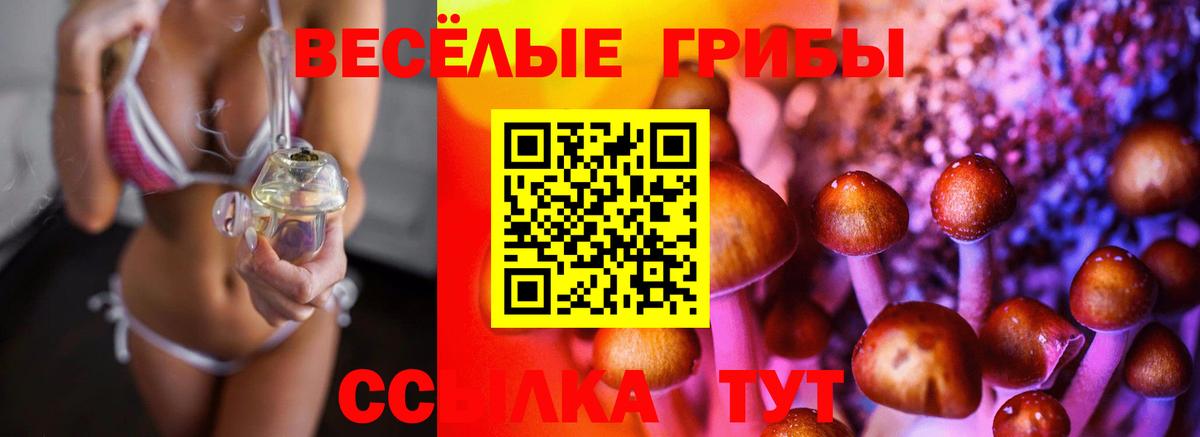 Псилоцибиновые грибы Magic Shrooms Волгодонск