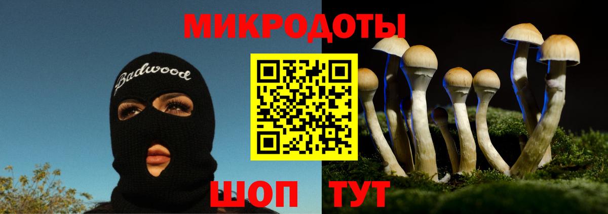 Волгодонск  Галлюциногенные грибы Psilocybe  Вход с VPN  Псилоцибиновые грибы Psilocybe 